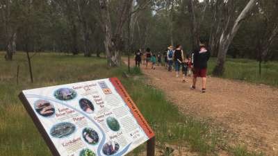 Have your say on the Boulevard Bush Reserve Environmental Management Plan
