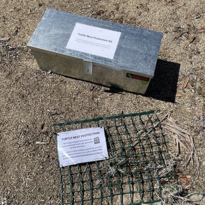 turtle nest protection