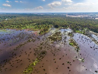 Reedy Swamp Aerial Drone